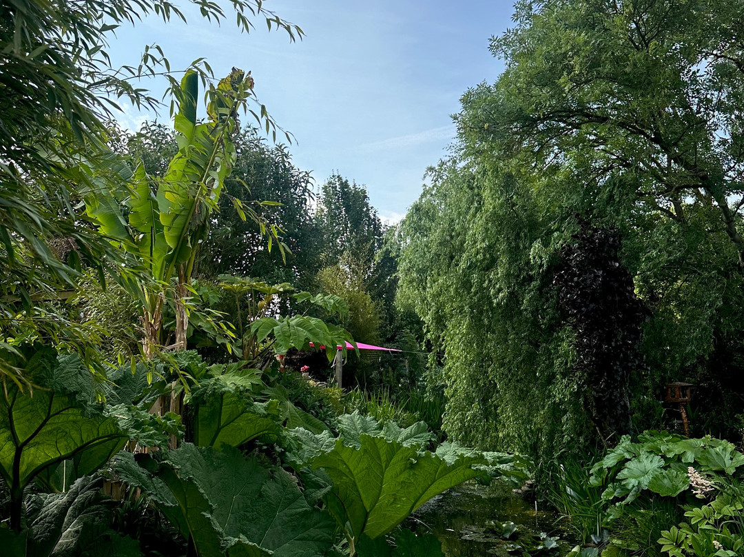 Waterscapes And Gardens景点图片