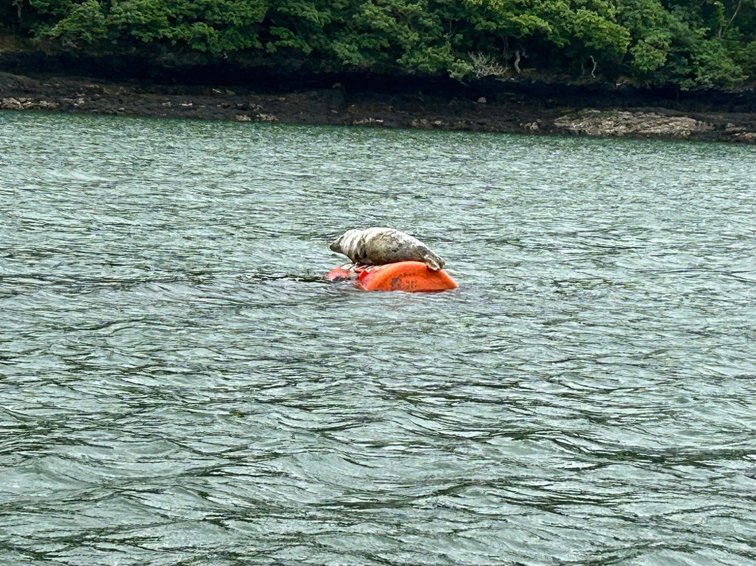 cornish pleasure cruises-法尔茅斯必去景点