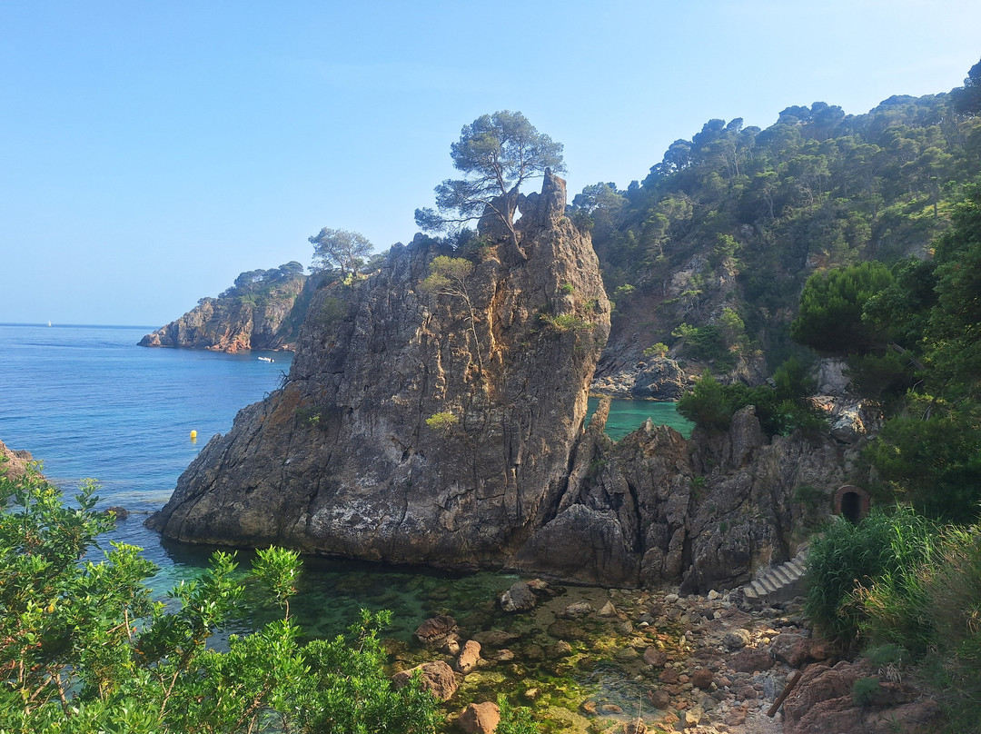 Cala El Golfet景点图片