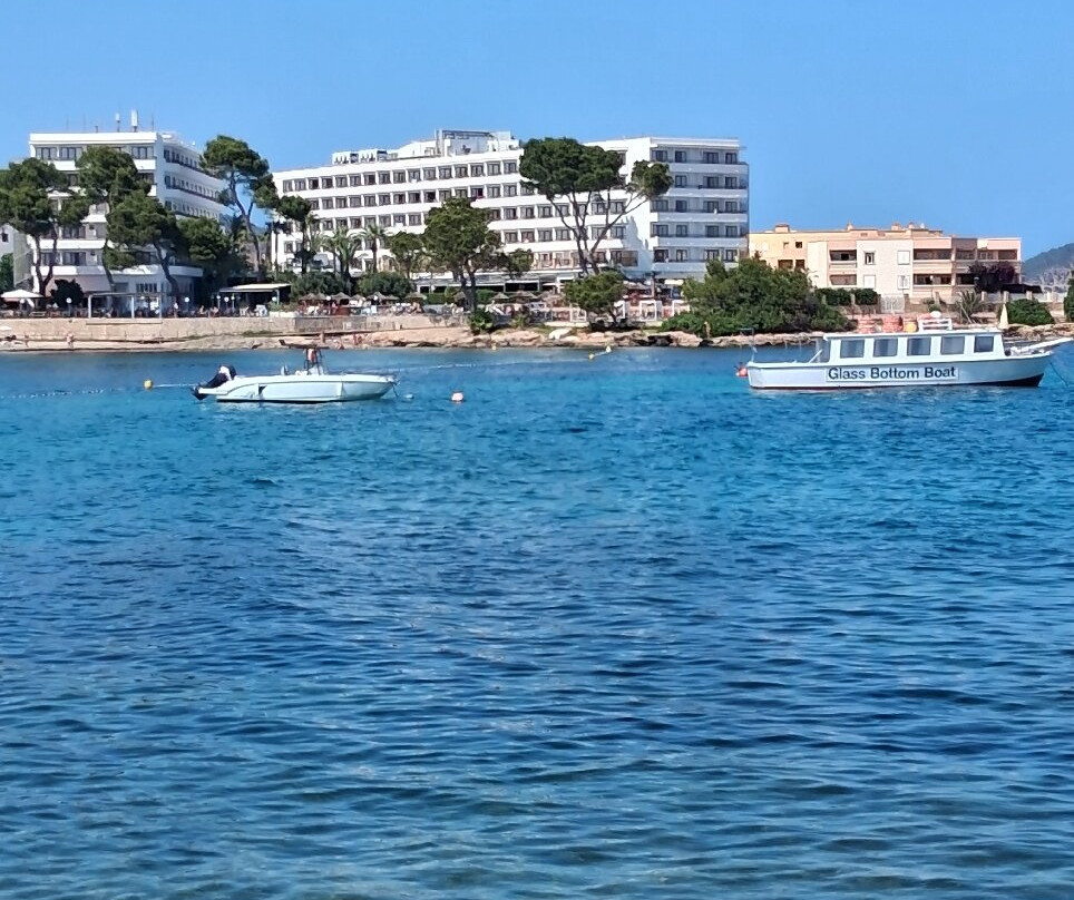 Playa de Es Canar景点图片