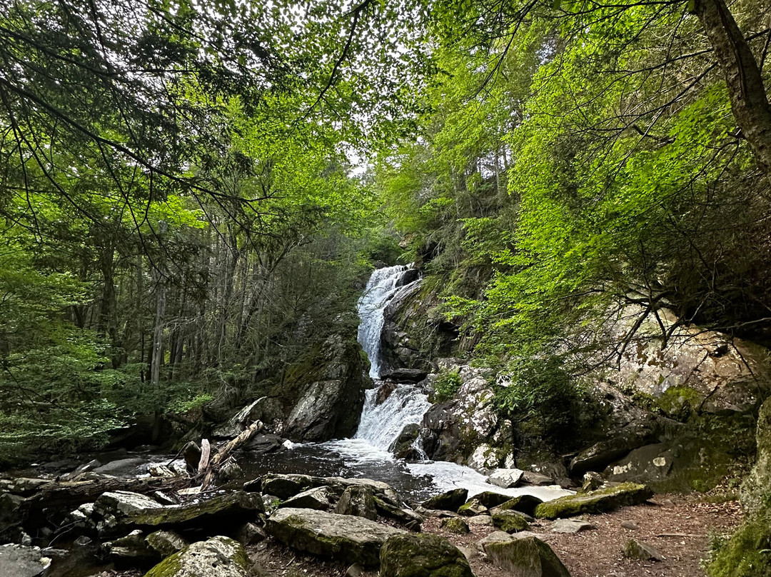 Manor House Inn主图