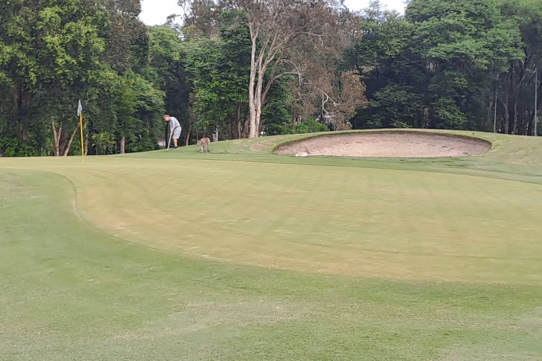 Palmer Coolum Resort Golf Course-Yaroomba必去景点
