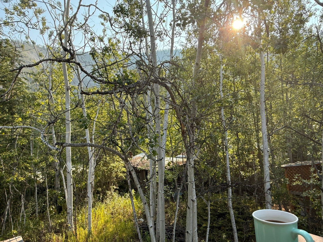 Whitehouse Cabins主图