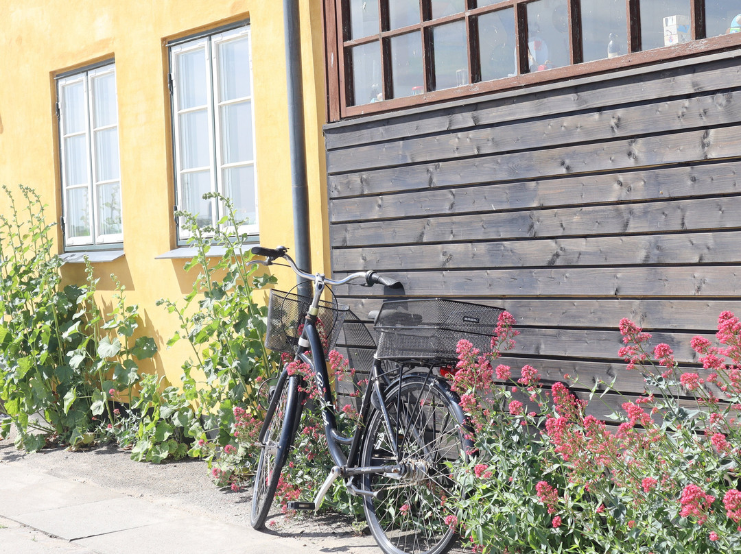 Dragor Havn-哥本哈根必去景点