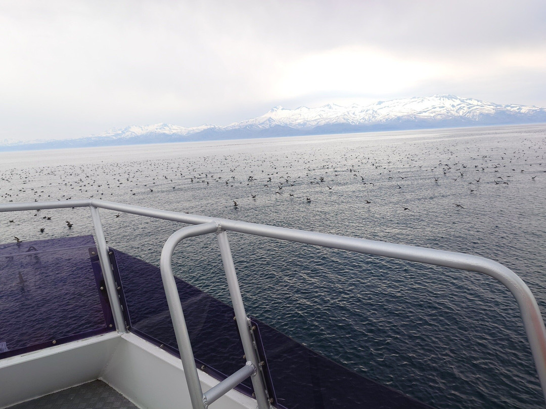 Shiretoko Nature Cruise - Day Tours-罗臼町必去景点