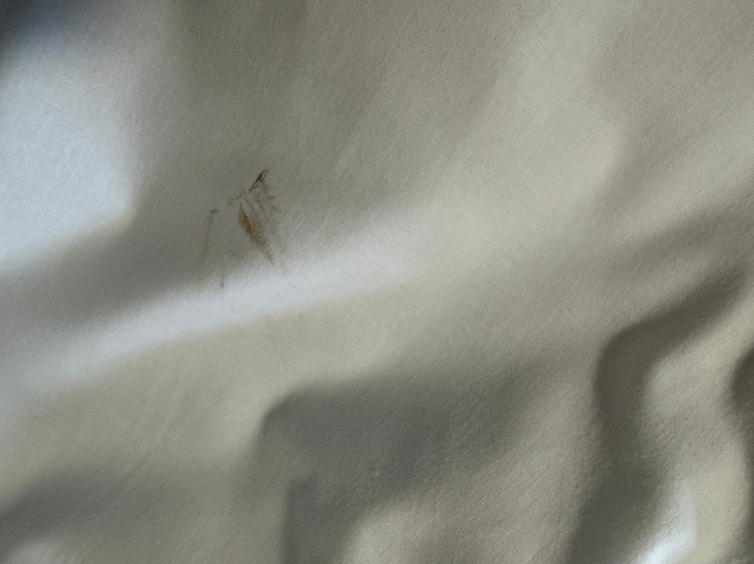 Travelodge Bangor Wales主图