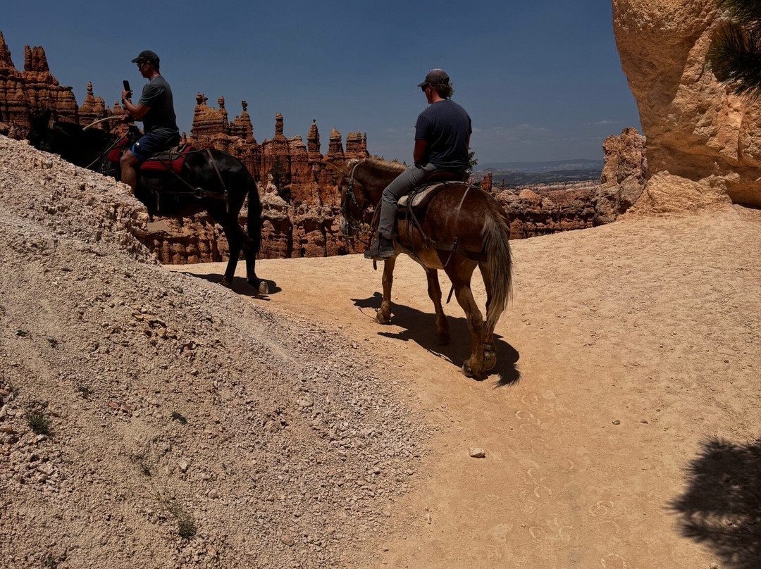 Red Canyon Trail Rides-布莱斯峡谷国家公园必去景点