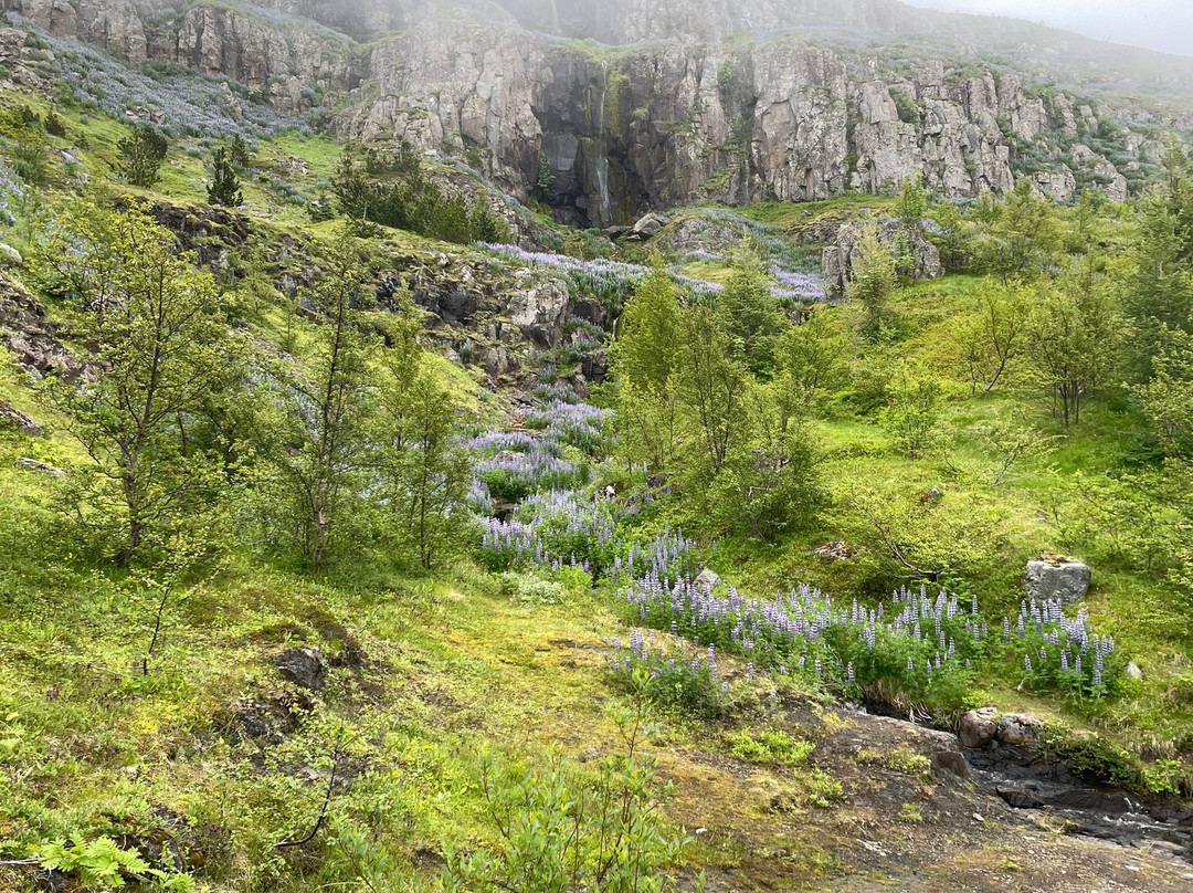 Tvisongur-塞济斯菲厄泽必去景点