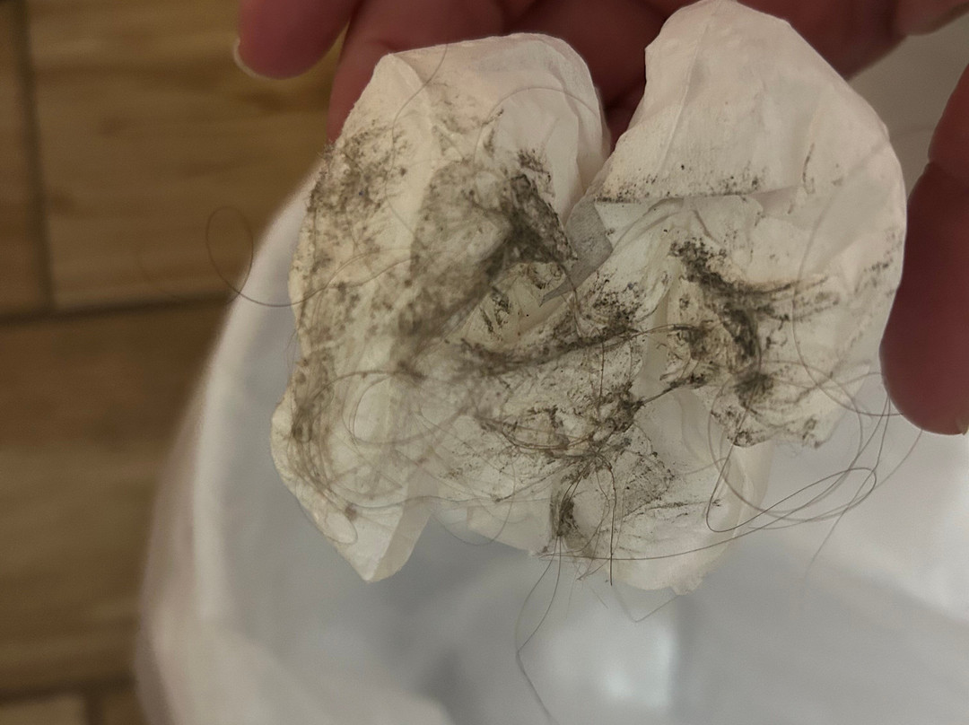 Best Western Freeport Inn主图