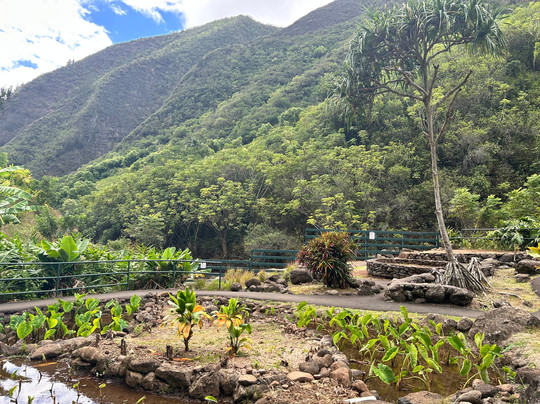 Stardust Hawaii-拉海纳必去景点