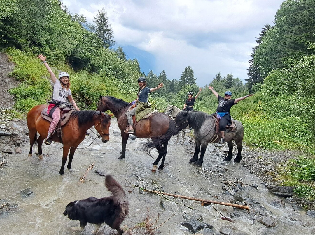 Fearless Horsemanship-Gotzens必去景点