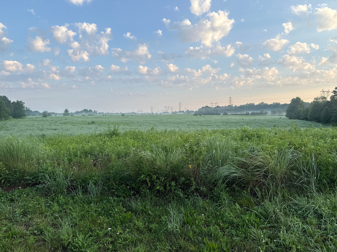 Negri-Napote Native Grassland Preserve-萨默塞特必去景点