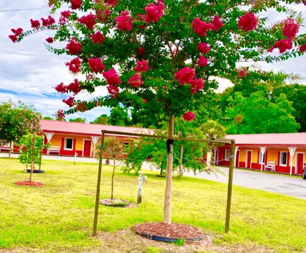 Budget Inn of Lawtey主图