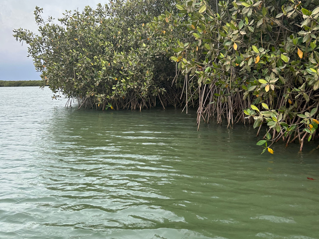 Dakar/Mbour/Sine Saloum, Senegal-莫布瓦必去景点