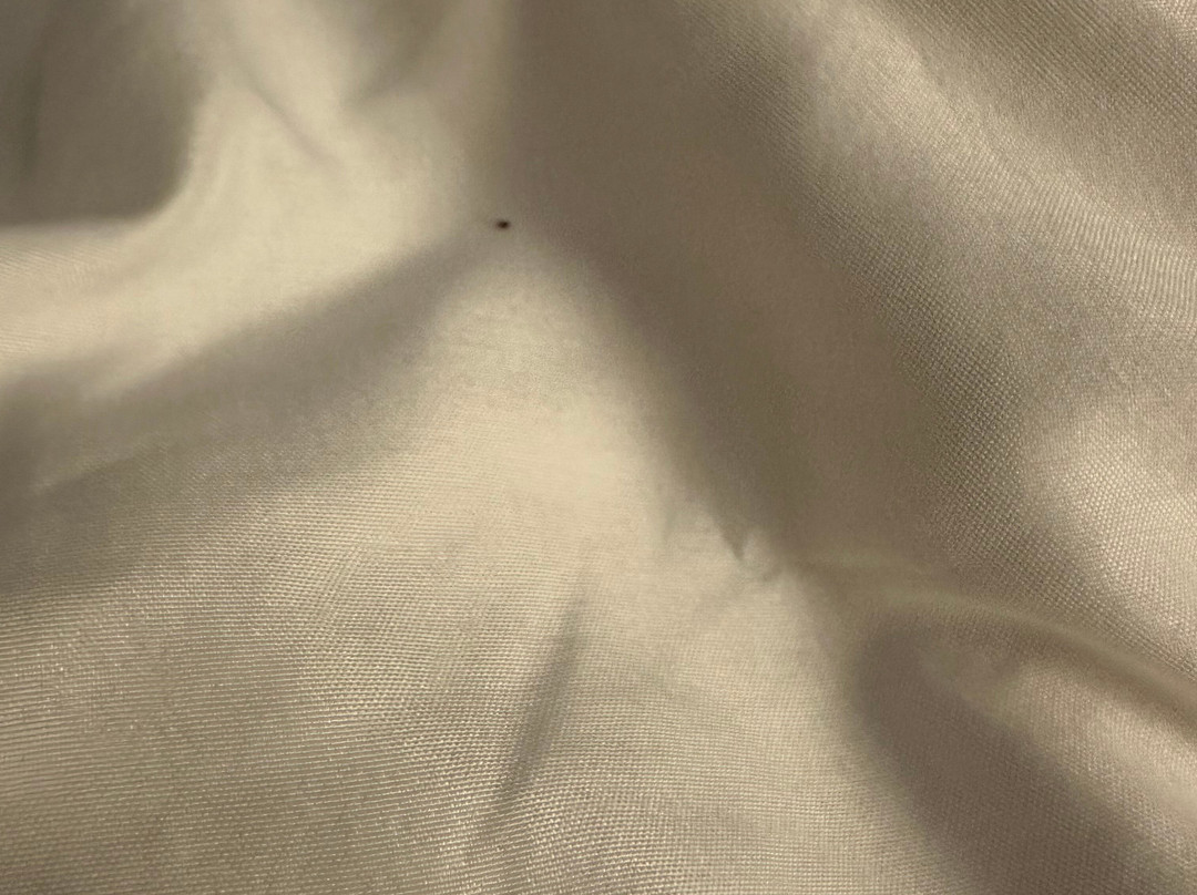 Comfort Inn & Suites主图