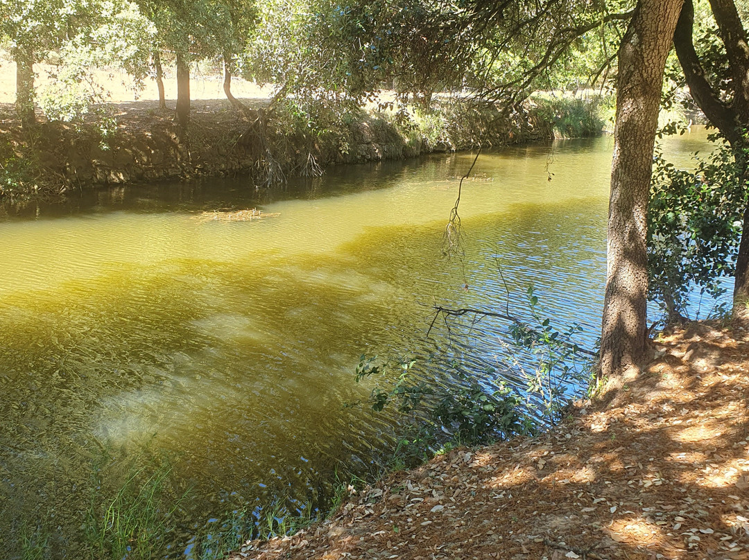 Domaine St Andrieu主图