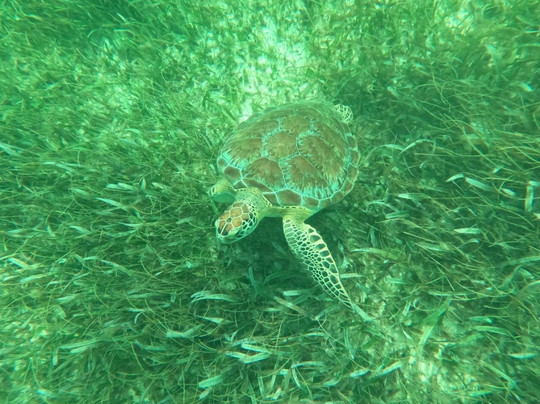 La Tempestad Tours-Mahahual必去景点