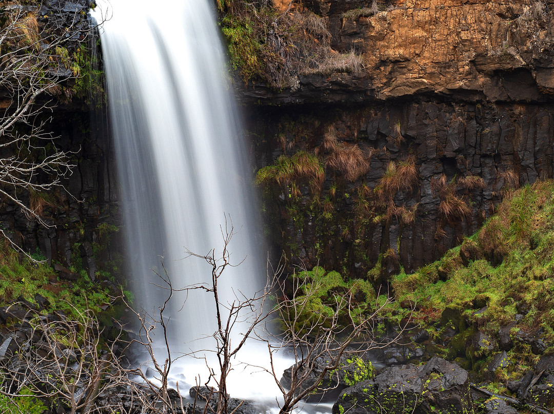 Paddys River Falls-Tumbarumba必去景点