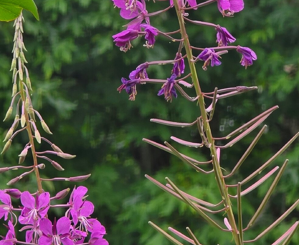尼斯阔利国家野生动物保护区-奥林匹亚必去景点