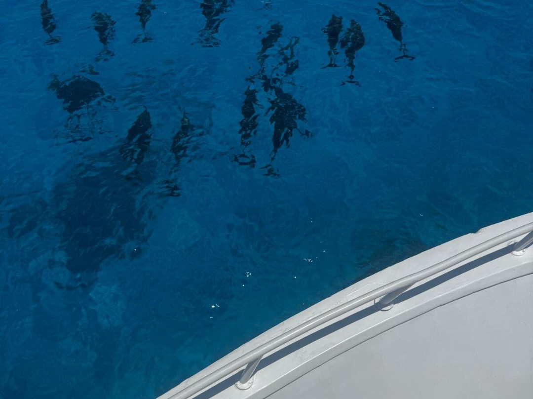 Sataya Dolphin Reef-马萨阿拉姆必去景点