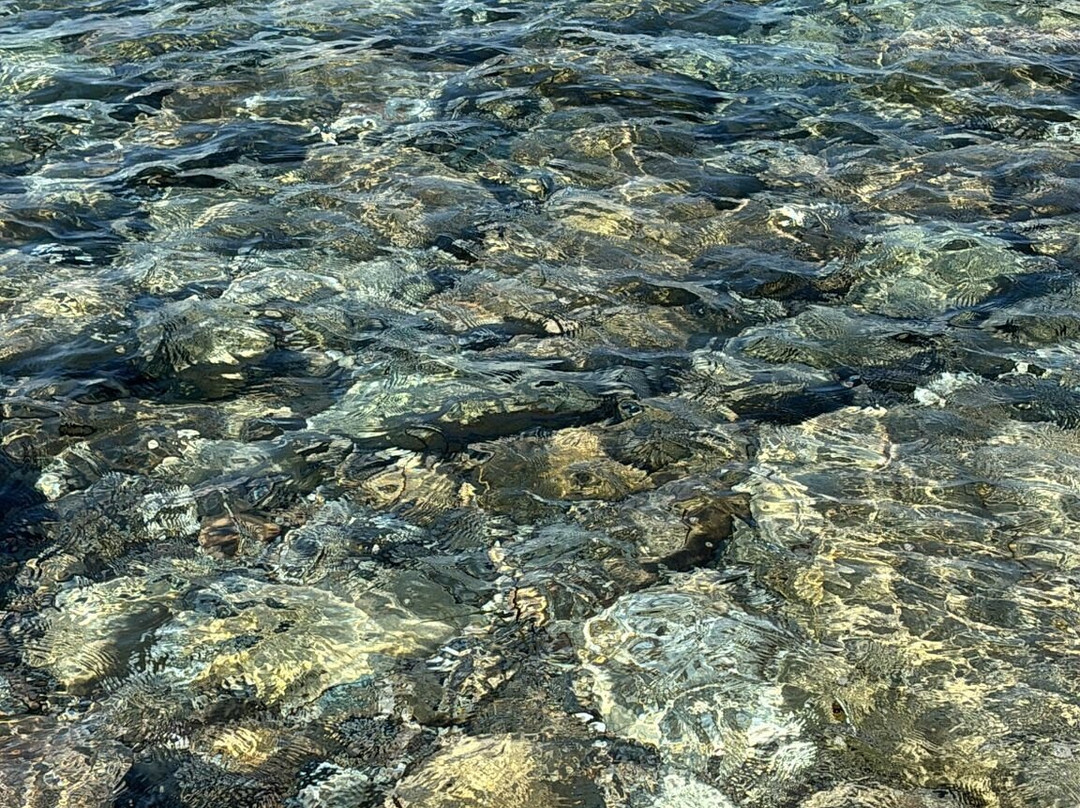 Spiaggia Le Cannelle-圣托斯特凡诺港必去景点