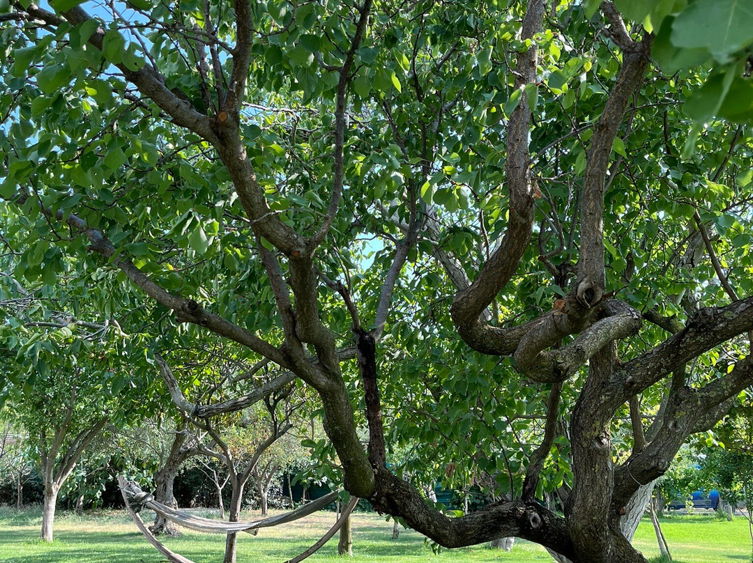 Casa Agricola Scorziello主图