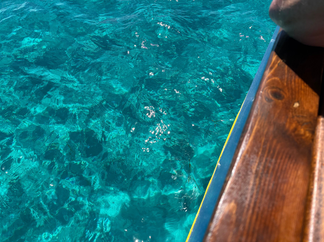 Captain Vasilis Boat Tour-林多斯必去景点