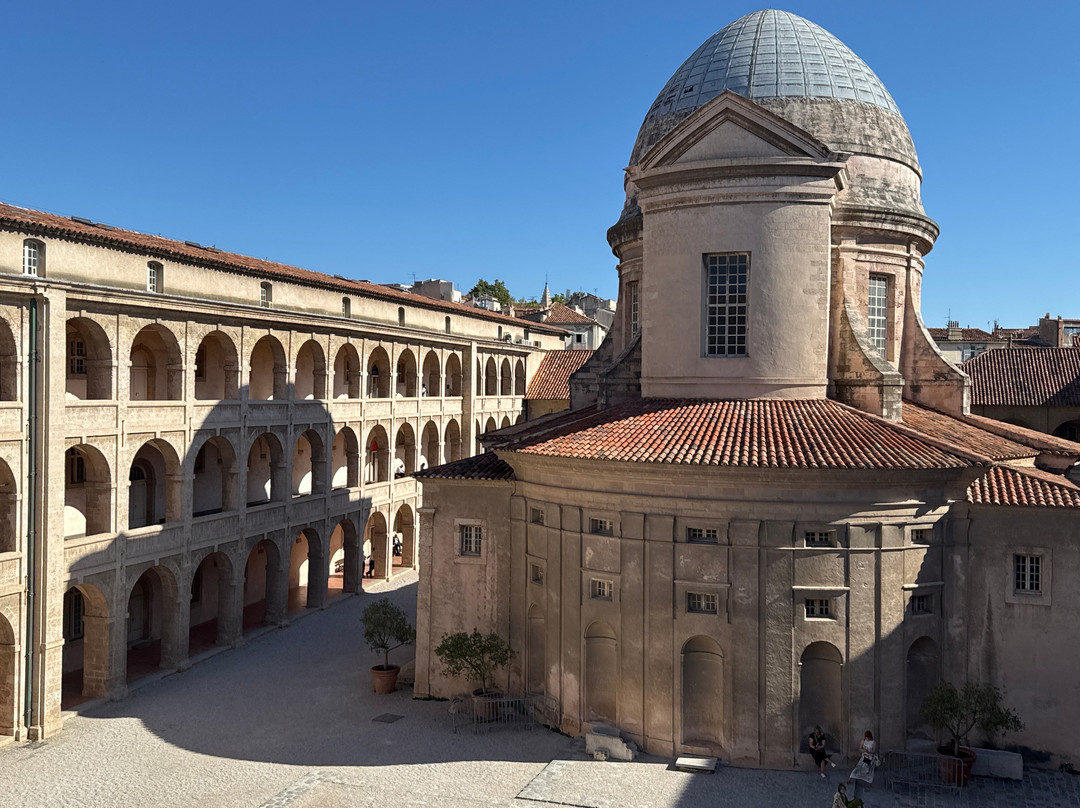 Musée d’Archéologie Méditerranéenne-马赛必去景点