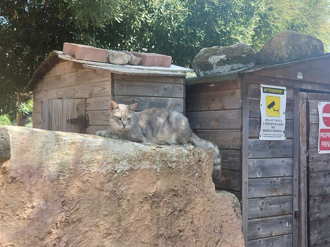 I Gatti di Su Pallosu-San Vero Milis必去景点