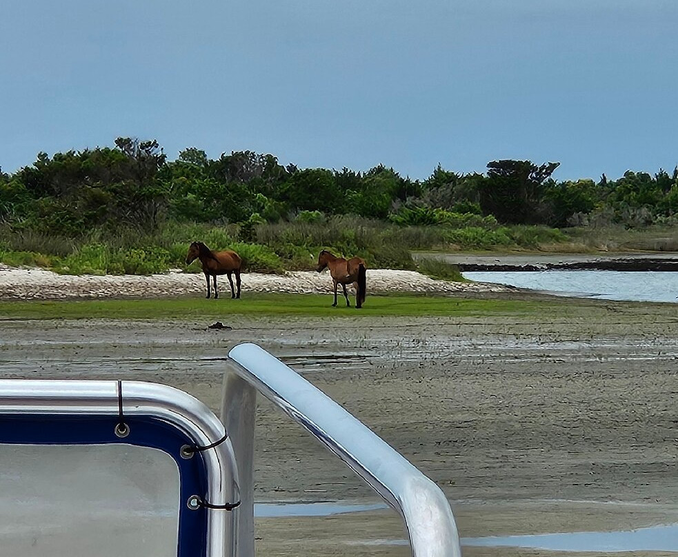 Shackleford Banks-Harkers Island必去景点