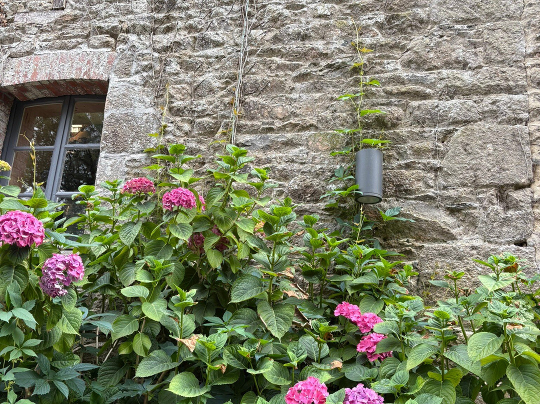 Au Char a Bancs主图