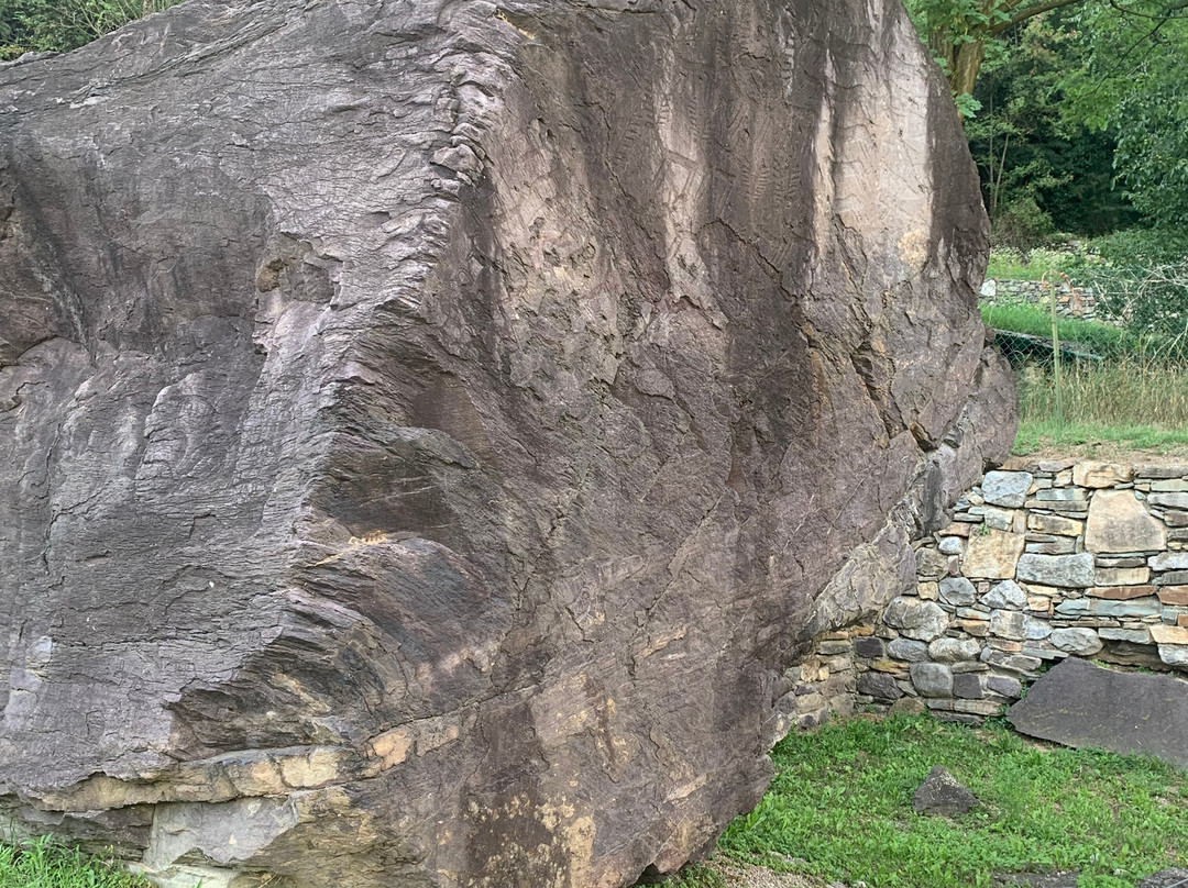 Parco Archeologico Nazionale dei Massi di Cemmo-Capo di Ponte必去景点