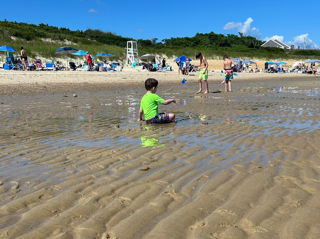 Howes St Beach-Dennis必去景点