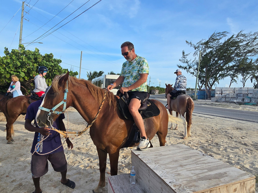 Unique Tours and Rentals-普罗维登西亚莱斯必去景点