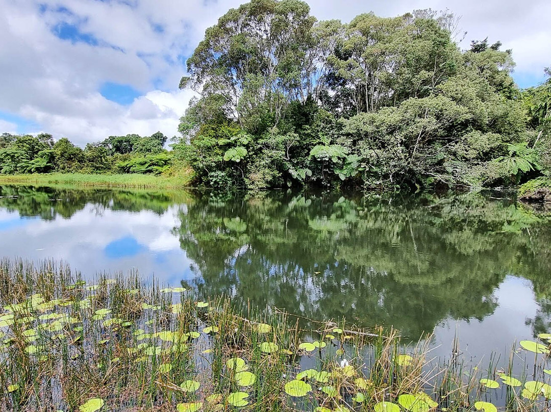 The Australian Platypus Park at Tarzali Lakes-马兰达必去景点