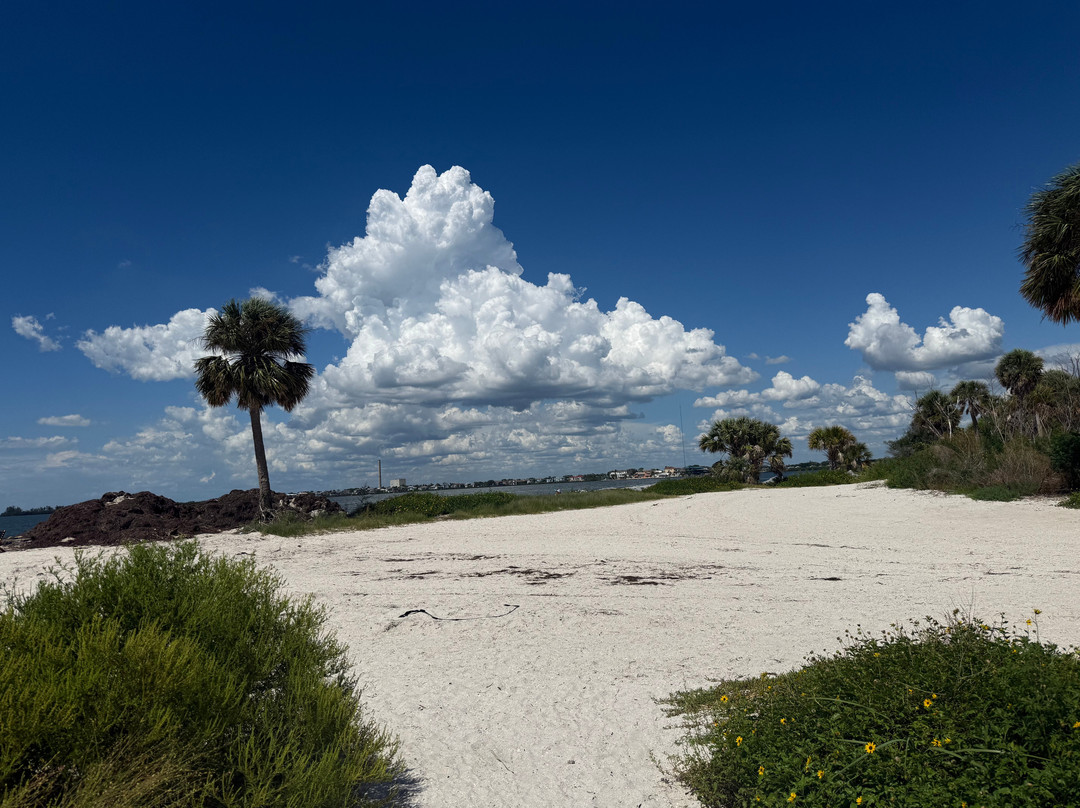 Fred Howard Park-塔彭斯普林斯必去景点