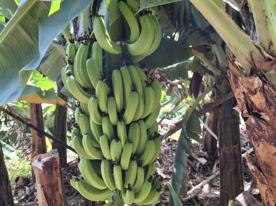 Madeira HORIZON-马德拉群岛必去景点