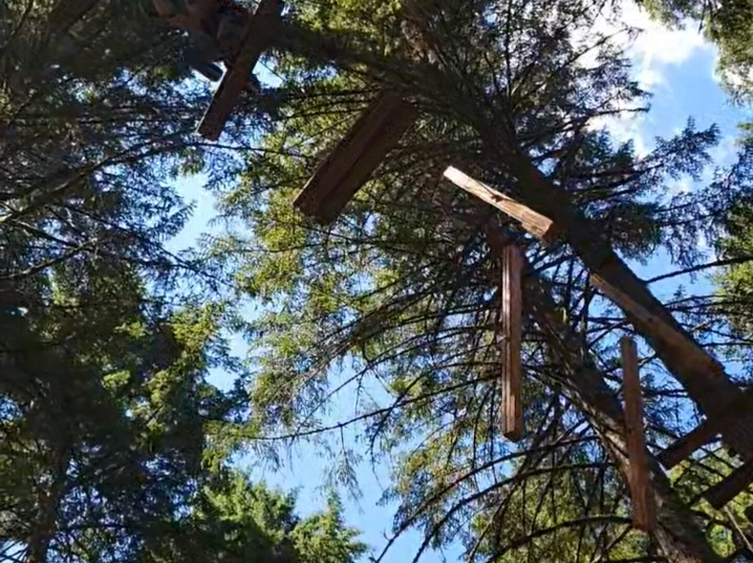Tree to Tree Adventure Park-Gaston必去景点