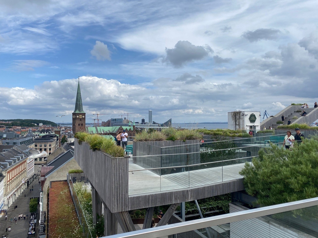 Salling Rooftop-欧胡斯必去景点