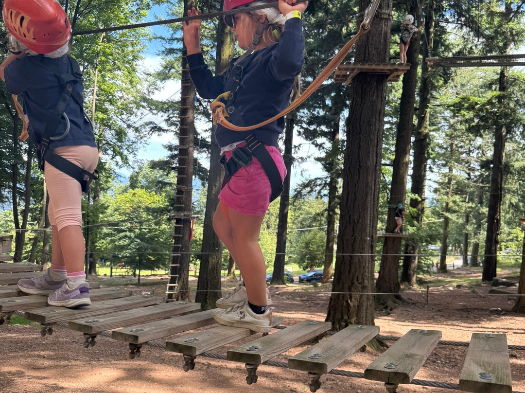 Jungle Raider Park-Albavilla必去景点