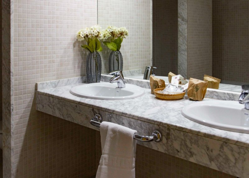 拉斯巴杜厄卡斯酒店-浴室