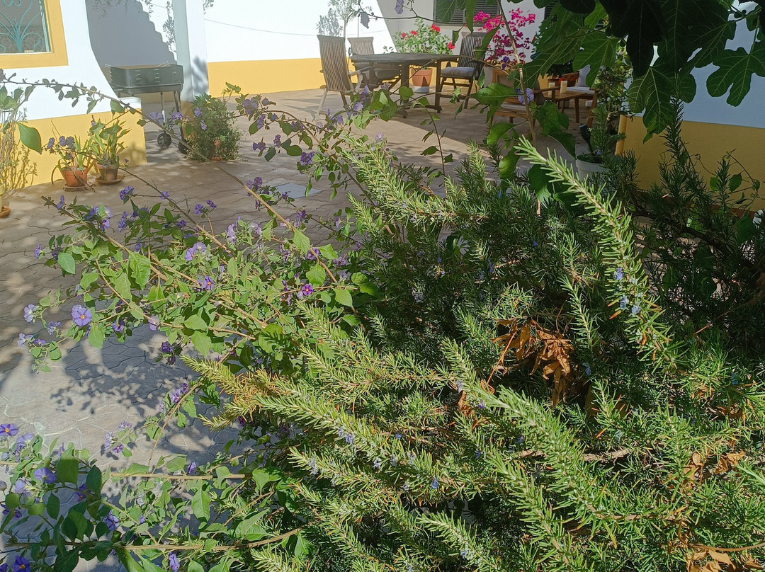 Casa dos Pingos de Mel Bed and Breakfast