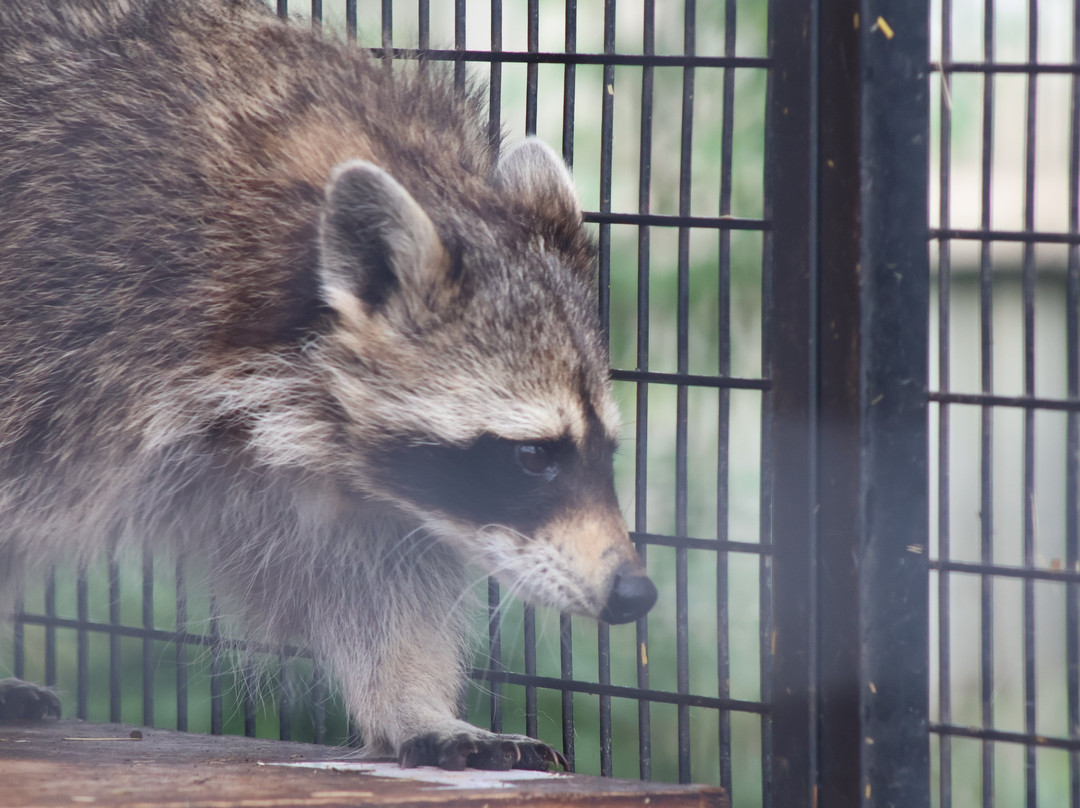 Butterfly World & Farm Park-Wanborough必去景点