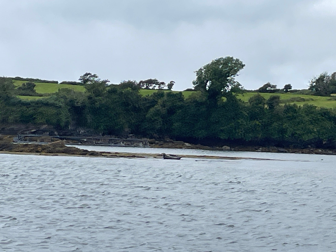 Bantry Bay Boat Hire-Bantry必去景点