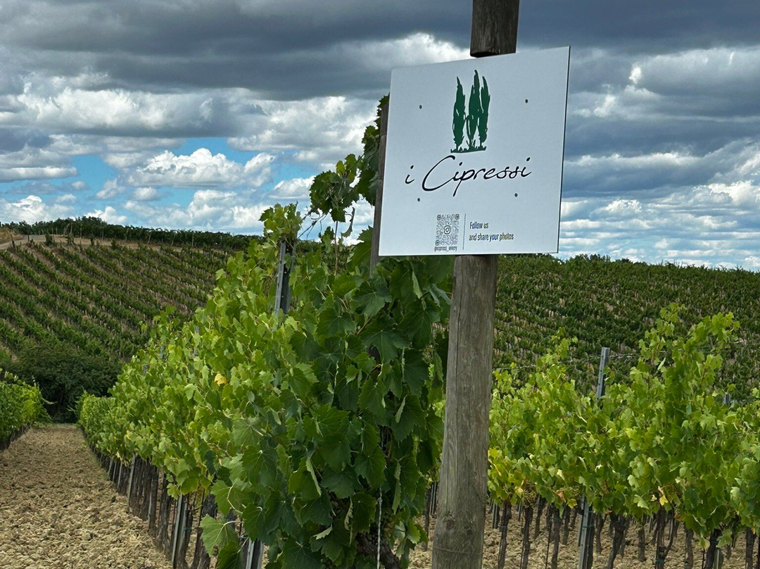 I Cipressi Winery-蒙特普尔恰诺必去景点