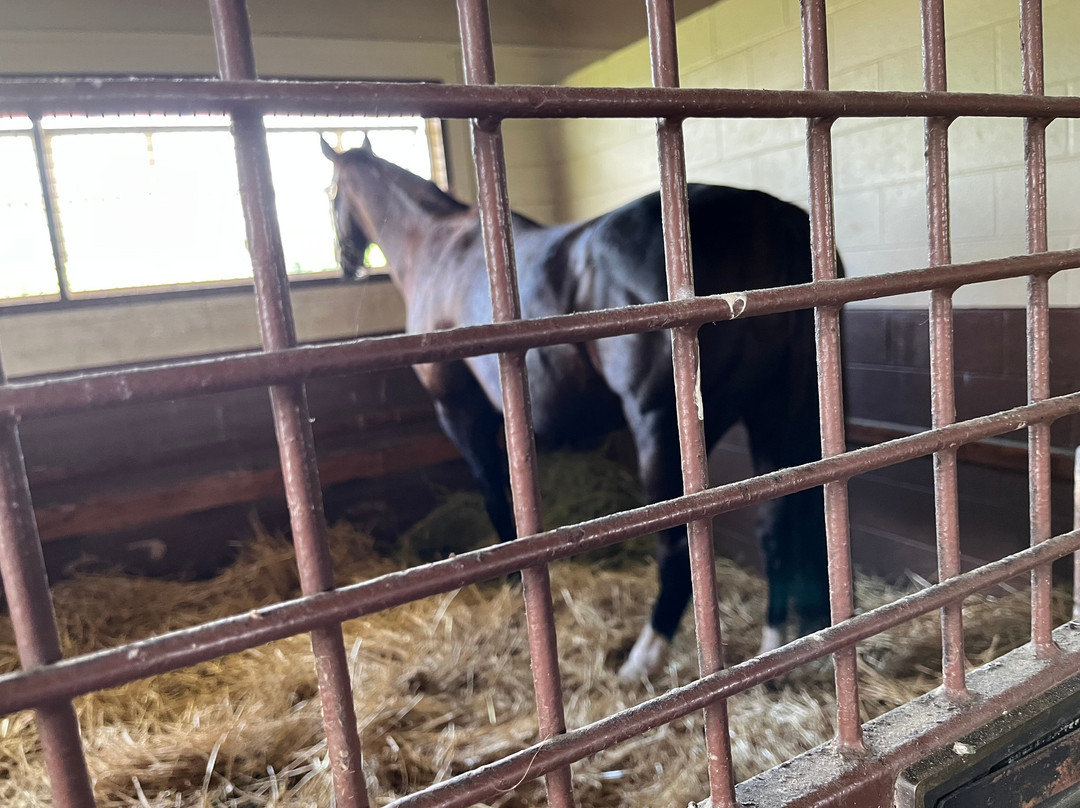 Godolphin-列克星敦必去景点