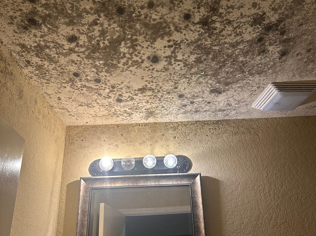 Southern Inn And Suites主图