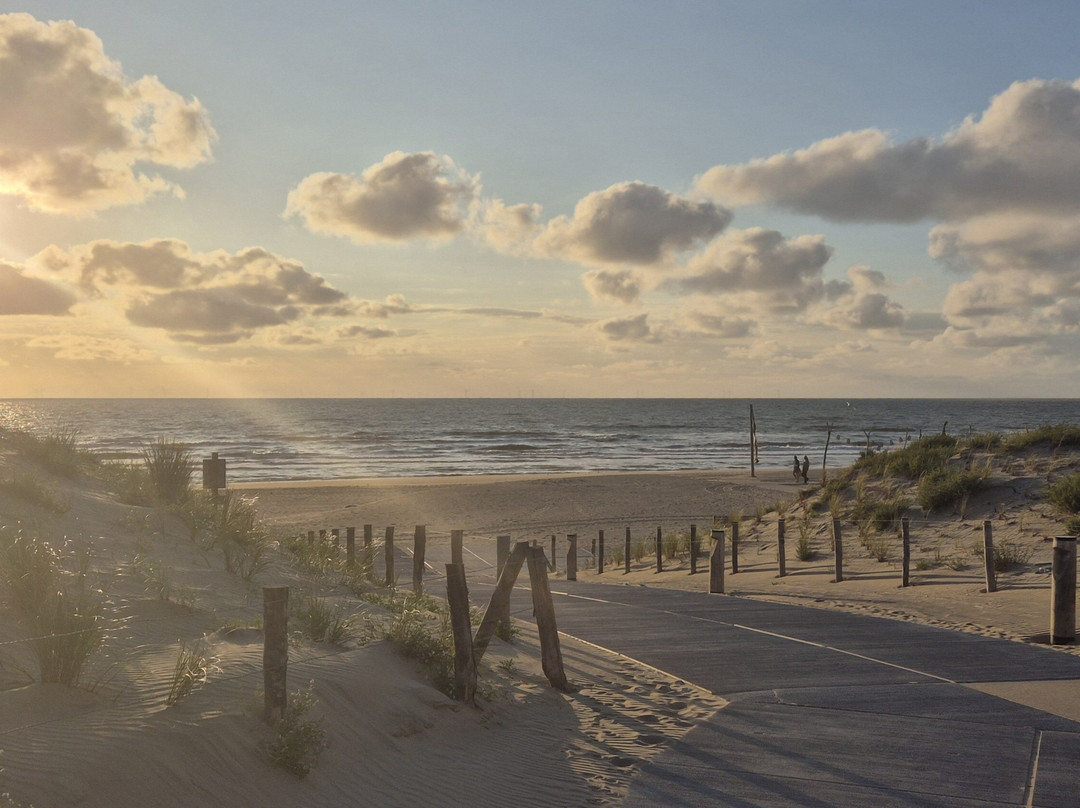 Strand Van Noordwijk-诺德韦克必去景点