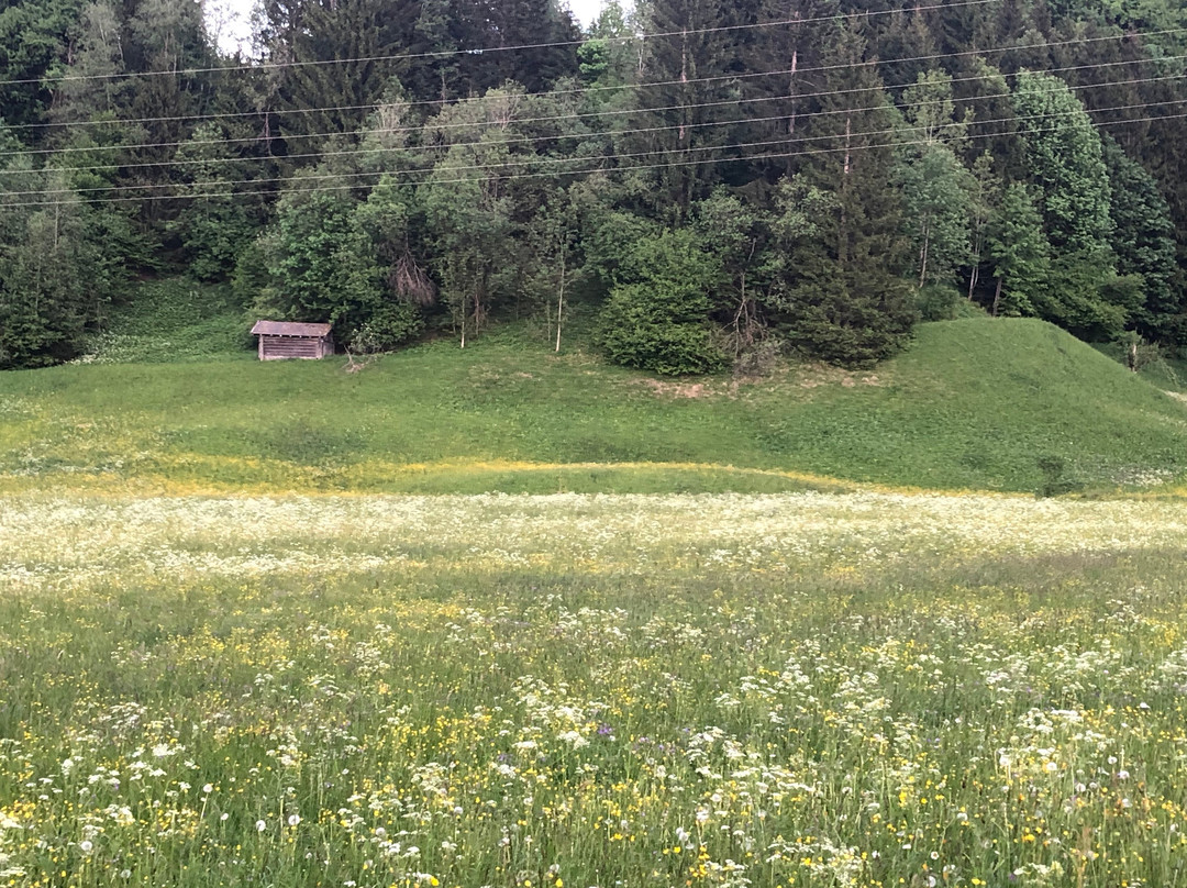 Pension Garni Waldrast主图