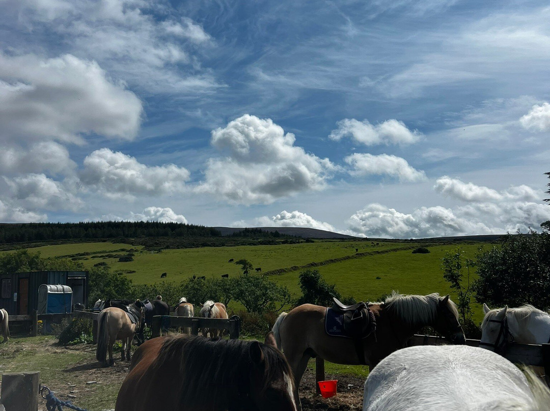 Ballahimmin Riding & Pony Trekking Centre-马恩岛必去景点